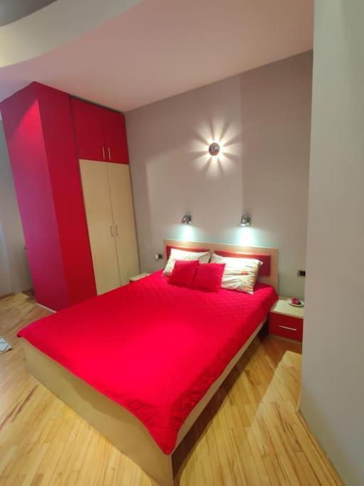Ds'S Cosy Apartment Üsküp Dış mekan fotoğraf
