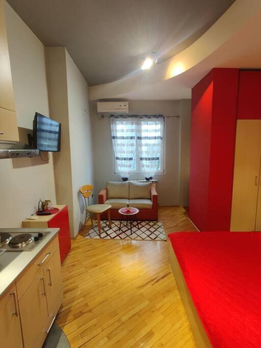 Ds'S Cosy Apartment Üsküp Dış mekan fotoğraf